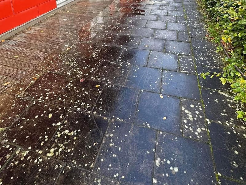 Plattgång längs en röd fasad, blöt under arbetet, med ljusa lavfläckar på plattorna